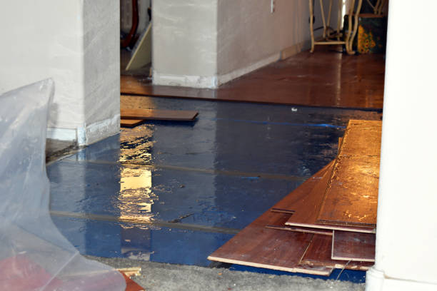 Professional Water Damage Repair technician working in Hampshire, IL